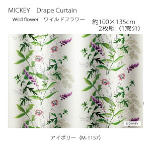 ~bL[ J[e h[v Cht[ 100×135cm 2g(1) AC{[ X~mG MICKEY Disney fBYj[z[V[Y EHbVu {