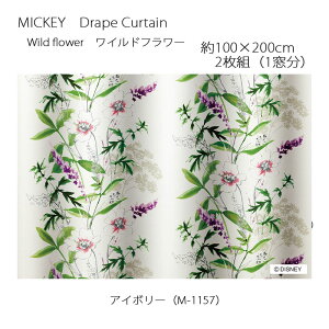 ~bL[ J[e h[v Cht[ 100×200cm 2g(1) AC{[ X~mG MICKEY Disney fBYj[z[V[Y EHbVu {