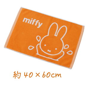 yMtgzfBbNu[i Vу~btB[ oX}bg 40×60cm IW DickBruna ~btB[ miffy