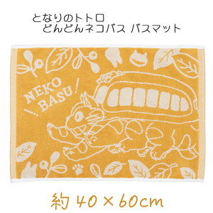 yMtgzƂȂ̃gg ǂǂlRoX oX}bg 40×60cm CG[ X^WIWu