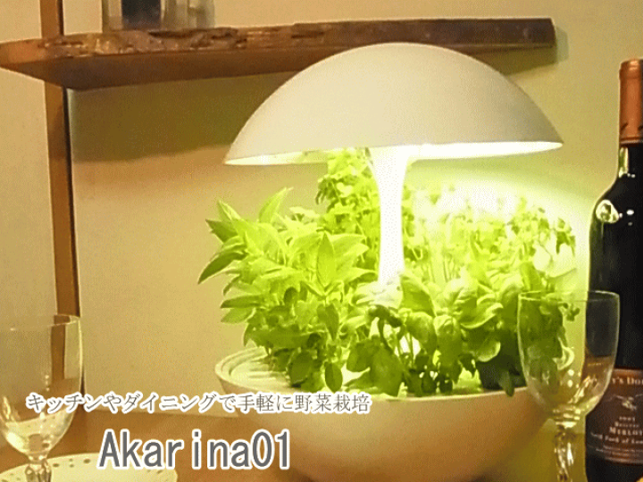 楽天市場】アカリーナ akarina01 Terrara 灯菜 LED水耕栽培器
