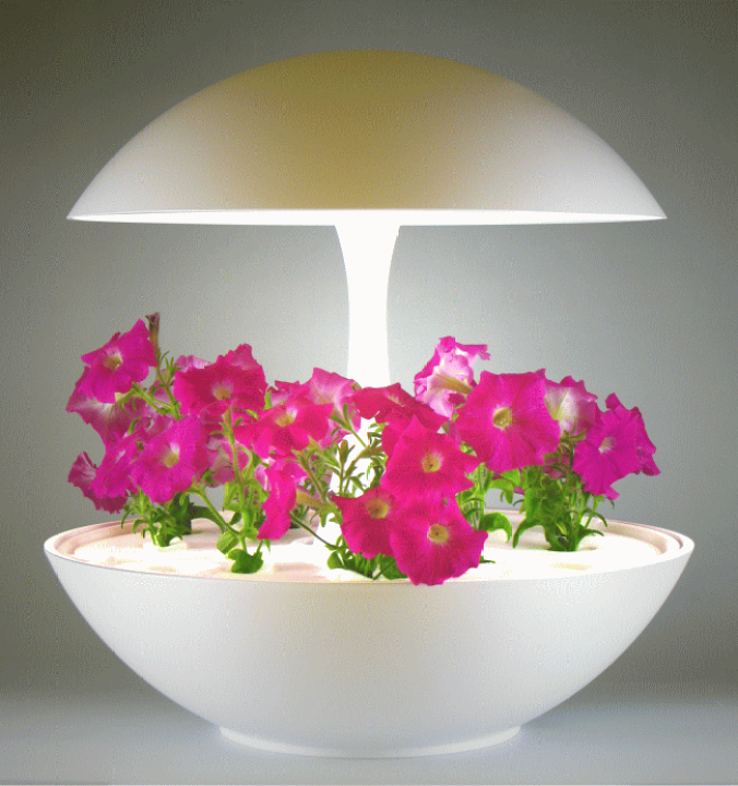 オリンピア照明 水耕栽培器 OMA01 Akarina Terrara Akarina01 OMA01 | 灯菜 LED水耕栽培器 | おしゃれなインテリア