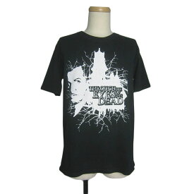 【中古】ロックtシャツ THROUGH THE EYES OF THE DEAD バンドTシャツ メンズ Mサイズ 古着 ユーズド 黒 デスコアミュージック anvil ティーシャツ