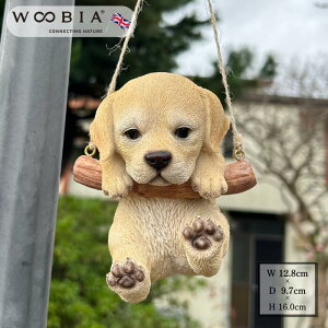 I[ig K[f S[f go[ uhbN Ԃ牺 E[rA WooBia k   IuWF Mtg K[fjO uh  u CeA f[ Ԃ M