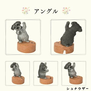 Mtg g X}z X^h Č ViEU[  g I[ig E[rA WooBia K[f  IuWF Mtg K[fjO  u CeA v[g  G GN