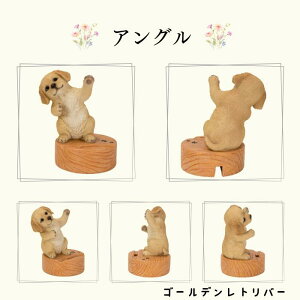 Mtg g X}z X^h Č ViEU[  g I[ig E[rA WooBia K[f  IuWF Mtg K[fjO  u CeA v[g  G GN