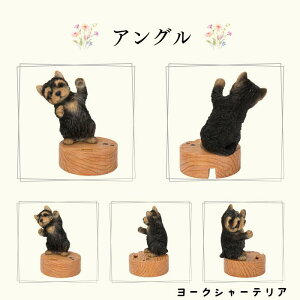 Mtg g X}z X^h Č ViEU[  g I[ig E[rA WooBia K[f  IuWF Mtg K[fjO  u CeA v[g  G GN