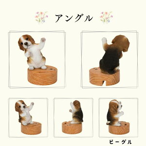 Mtg g X}z X^h Č ViEU[  g I[ig E[rA WooBia K[f  IuWF Mtg K[fjO  u CeA v[g  G GN