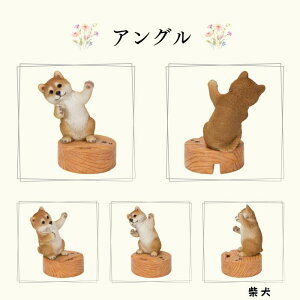 Mtg g X}z X^h Č ViEU[  g I[ig E[rA WooBia K[f  IuWF Mtg K[fjO  u CeA v[g  G GN