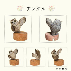 Mtg g X}z X^h Č ViEU[  g I[ig E[rA WooBia K[f  IuWF Mtg K[fjO  u CeA v[g  G GN