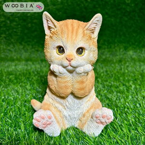 Mtg I[ig L _[NrXPbggLE[rA WooBia k K[f  IuWF Mtg K[f uh  u CeA v[g  G GNXeA  