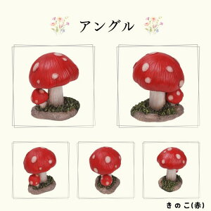 K[f V}X  nlY~ ̂ I[ig E[rA WooBia k K[f  IuWF Mtg K[fjO uh  u Ce v[g G GNXe