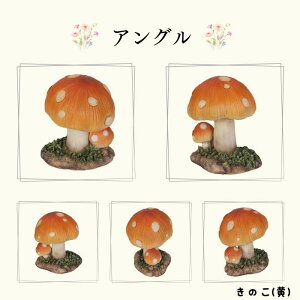 K[f V}X  nlY~ ̂ I[ig E[rA WooBia k K[f  IuWF Mtg K[fjO uh  u Ce v[g G GNXe