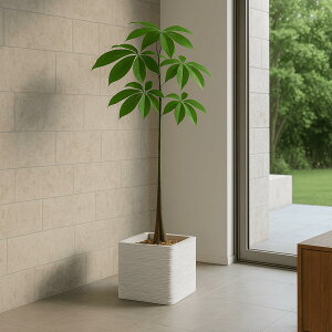 yʃ|bg Jo[   |bg Js L[u |bg u NX}X v[g ~x