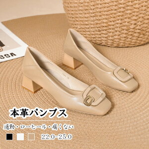 pvX fB[X {v v V[Y [q[ XNGAgD  t n OL rWlX ItBX tH[} _炩 ɂȂ ₷ GKg JWA