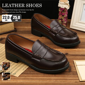 [t@[ w fB[X pvX ʋ ʊw w  [q[ C ItBX   uE ubN ɂȂ ɂ q Z w y y 22.0cm-25.0cm q[ 3cm