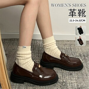 [t@[ w fB[X pvX ʋ ʊw w  [q[ C ItBX   uE ubN ɂȂ ɂ q Z w y y 22.0cm-24.5cm