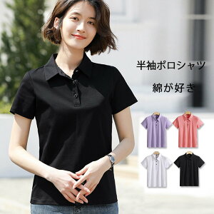 |Vc fB[X   Rbg  gbvX d  St  n Vv JWA Sn |Vc |Vc fB[X|Vc ĕ 傫TCY 