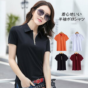 |Vc fB[X   Rbg  gbvX d  St  n Vv JWA Sn |Vc |Vc fB[X|Vc ĕ 傫TCY 