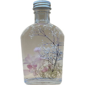 n[oEsNn 킢 v[g Mtgj  LC u CeA  Vz ̓ 蕨 CeA hCt[ F IV  LO a oYj 2 0