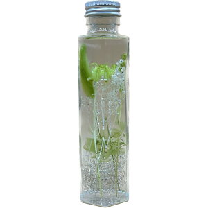 n[oEZpO[ 킢 v[g Mtgj  LC u CeA  Vz ̓  hCt[ F IV Z   LO a oYj 2 0 