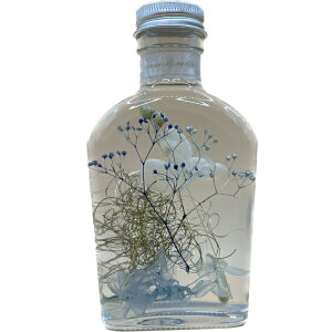 n[oEsNu[v[g Mtgj  LC u CeA  Vz ̓  hCt[ F IV Z   LO a oYj 2 0 30 40 50