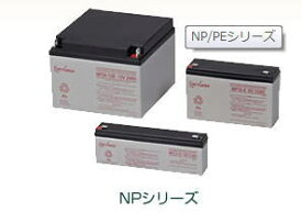 GS YUASA NPシリーズ　NP1.2-12 定格容量(1.2Ah) 20時間率 蓄電池 ジーエスユアサ バッテリー