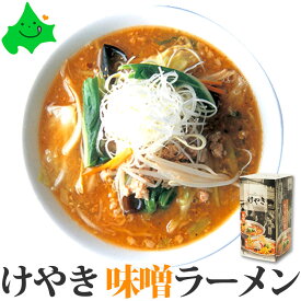 ＼6月1日ポイント最大5倍／けやき ラーメン 2食入 北海道 有名店 札幌 味噌ラーメン すすきの 買いまわり お試し ご当地 食品 お試し ご当地ラーメン お取り寄せ 常温 SDGs ポスト投函