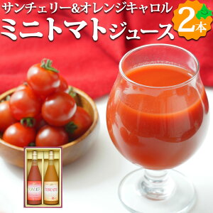 ~jg}gW[XZbg 2 710ml×2{ T`F[ IWL ~jg}gʏ`100% t[cW[X Xg[g W[X HT-45 Ԃ hV̓ Mtg