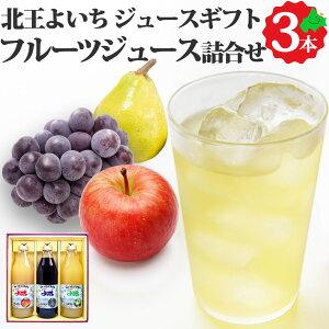 _蔼zN[|zz^t[cW[X 悢Zbg 3 1000ml×3{  Ԃǂ Ȃ ь   ʏ`100% Xg[g W[X H-50 Ԃ hV̓ Mtg