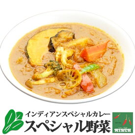 辛さを選べるインドカレー インディアンスペシャル・野菜 野菜水分100% 無水調理 北海道 ミルチ 札幌の老舗インドカレー専門店