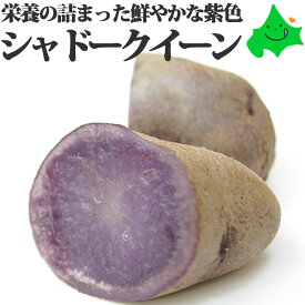 シャドークイーン じゃがいも 北海道産 ジャガイモ贈り物 ギフト 農産物