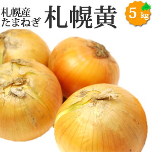 ܂˂ Dy MSTCY 5kg ʂ˂ DyY uhʂ˂