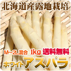 露地物ホワイトアスパラ北海道産M〜2Lサイズ混合露地アスパラガス送料無料白いアスパラ春の野菜春野菜バーベキューBBQ