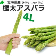 【順次発送中】北海道 アスパラ 4L 極太 グリーンアスパラガス 送料無料 北海道産 春ギフト 幻の超極太 …