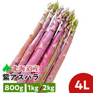 幻の超極太 パープル アスパラガス4Lサイズ 北海道産 紫アスパラ ギフト お返し