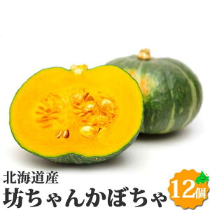 V񂩂ڂi΁j12Zbg kCY ~jڂ