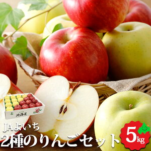 【予約販売 12月初旬より順次発送予定】りんご2種 ふじ・王林 計5kg (各7〜10個) 北海道余市産