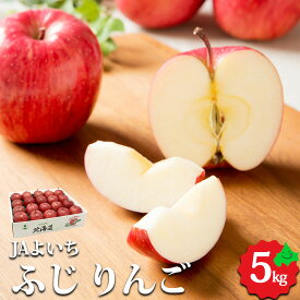 【予約販売 12月初旬より順次発送予定】りんご ふじ 5kg（14～20個） 北海道余市産 お歳暮 冬ギフト