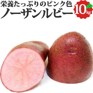 kCY m[Ur[ Ⴊ Iׂ 5kg or 10kg e 󏭂ȃsNF̃WKC Yn  |egT_tCh|eg Ԃ