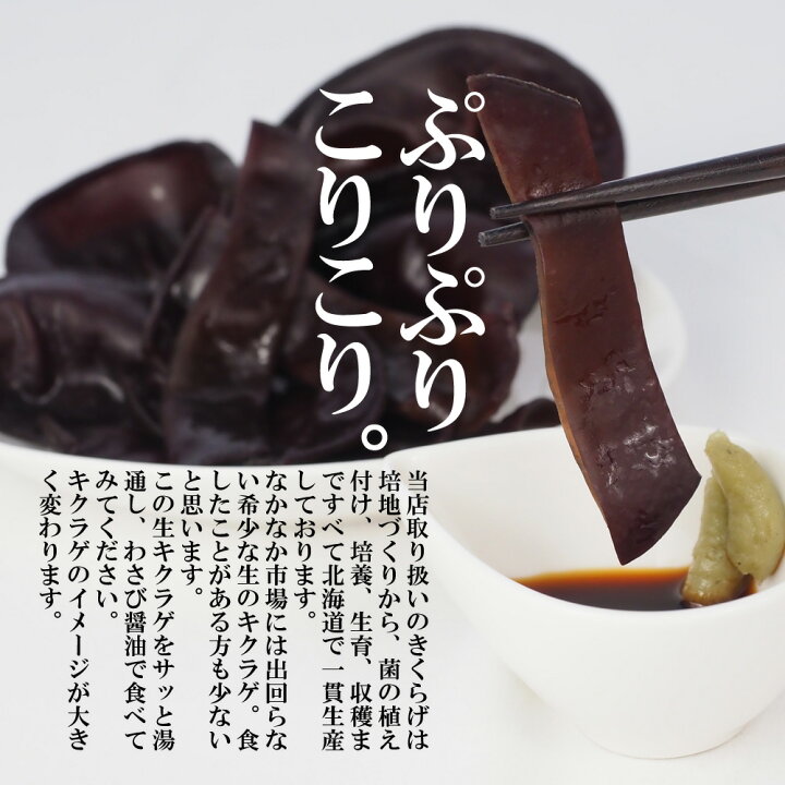 色々な 向日葵商店海藻問屋 白きくらげ 1kg 業務用 無農薬栽培 銀耳 きくらげ Cervejariaturatti Com Br