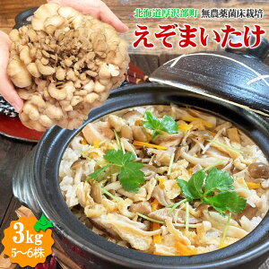 _ő200~OFFN[|zz^yyVLO܏iz ܂ kCY _ ʂIׂ 500g 1kg 2kg 3kg Ԃ 蕨 Mtg v[g 痿