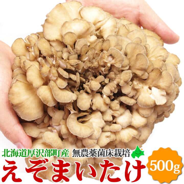 楽天市場】舞茸 えぞまいたけ 北海道産 無農薬 量を選べる 500g 1kg 