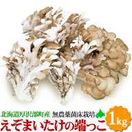 北海道産 舞茸 1kg 訳あり 端っこ まいたけ 不揃い お得用 きのこ 家庭用 炊き込みご飯 天ぷら 炒め物