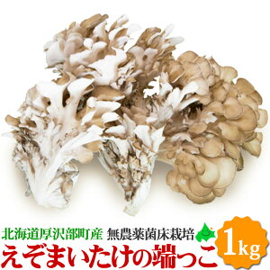 ܂̒[ ƒp ܂  󂠂 v1kgo kCY Ԃ