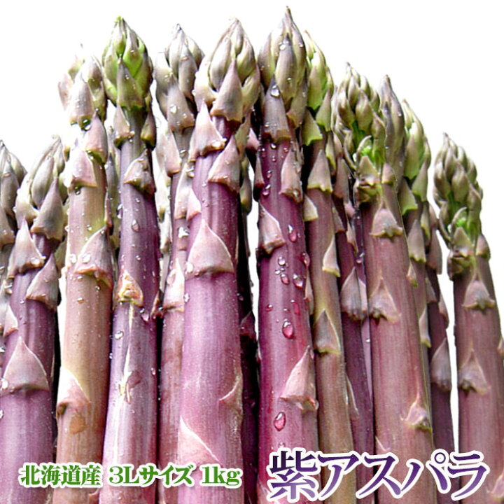 楽天市場 22完売 紫アスパラ 極太 3ｌサイズ 北海道産 パープルアスパラガス 1kg ギフト アスパラ 内祝い アスパラガス お返し 北海道 お土産 野菜 お礼 食べ物 贈り物 贈答 お取り寄せ ご当地 産地直送 食材 食品 フード 北海道美食生活