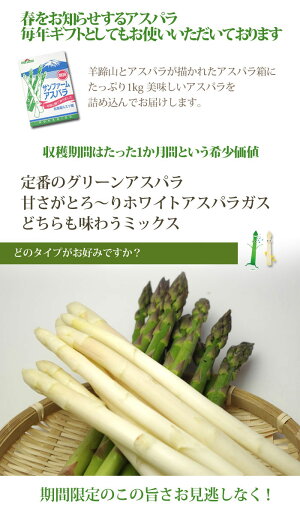 露地物ホワイトアスパラ北海道産M〜2Lサイズ混合露地アスパラガス送料無料白いアスパラ春の野菜春野菜バーベキューBBQ