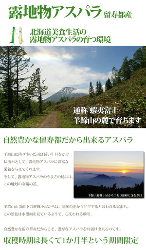 露地物ホワイトアスパラ北海道産M〜2Lサイズ混合露地アスパラガス送料無料白いアスパラ春の野菜春野菜バーベキューBBQ