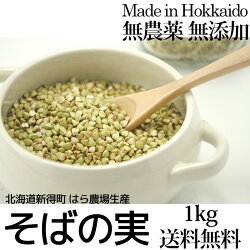 【2018年新そば】そばの実国産1kg送料無料北海道新得産無農薬化学肥料不使用蕎麦ソバの実そばのみスーパーフードレジスタントプロテイン食物繊維ビタミンB2