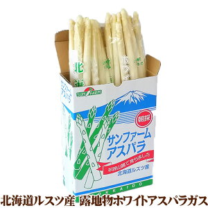 露地物ホワイトアスパラ北海道産M〜2Lサイズ混合露地アスパラガス送料無料白いアスパラ春の野菜春野菜バーベキューBBQ